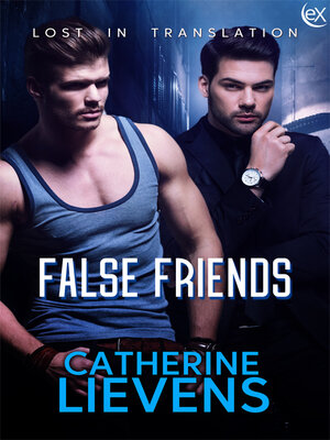 cover image of False Friends